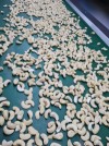 Cashew Nuts