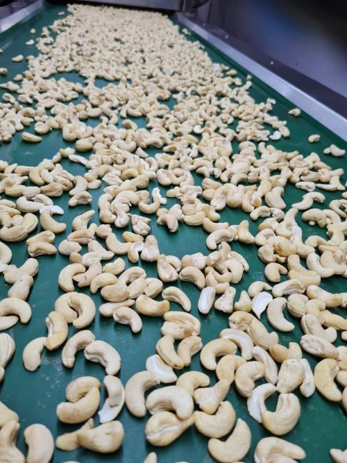 Cashew Nuts