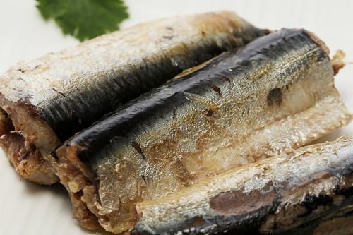 Canned Mackerel